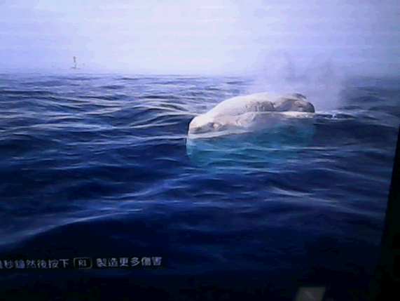 刺客信条4白鲸怎么打-捕杀白鲸的方法 4