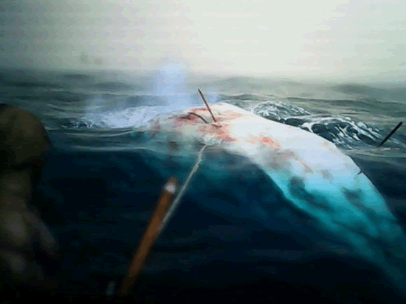 刺客信条4白鲸怎么打-捕杀白鲸的方法 7