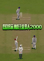 国际板球队2000 