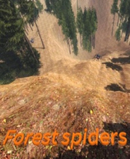 森林蜘蛛 